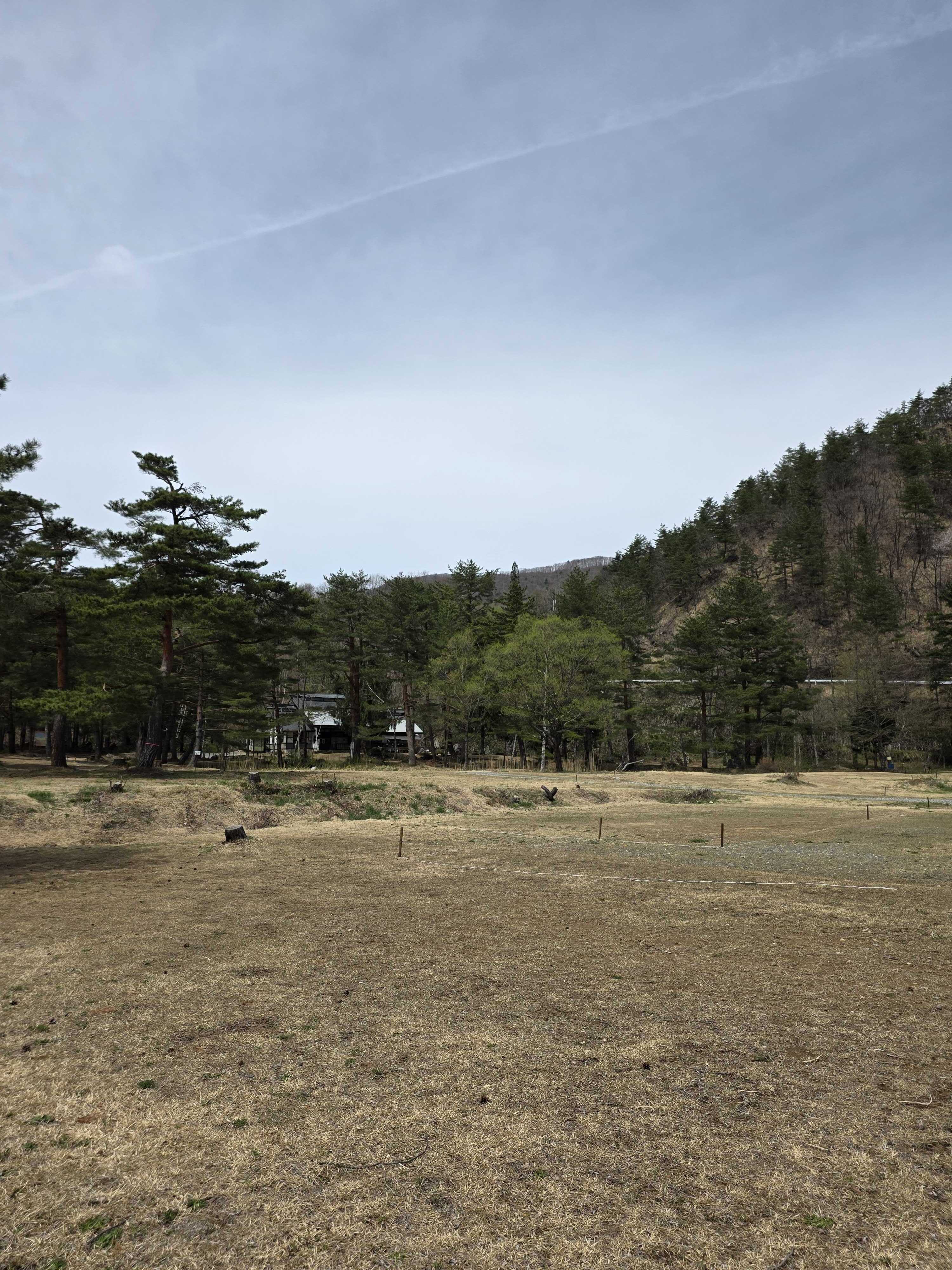 Wide view of Hakuba Donguri campsite grounds with pine trees and mountain backdrop